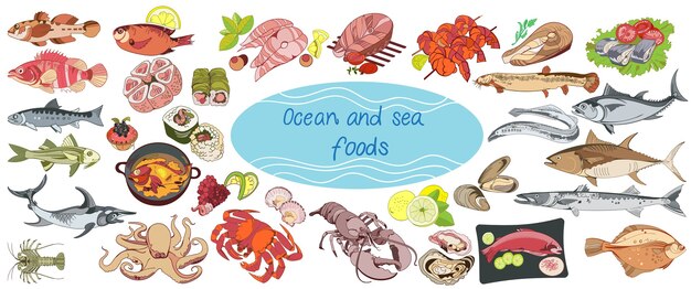 Colorful drawing marine food collection