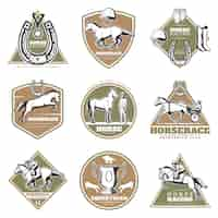 Free vector colorful equestrian sport logos set