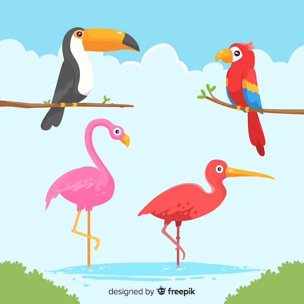 Free vector colorful exotic bird collection flat design