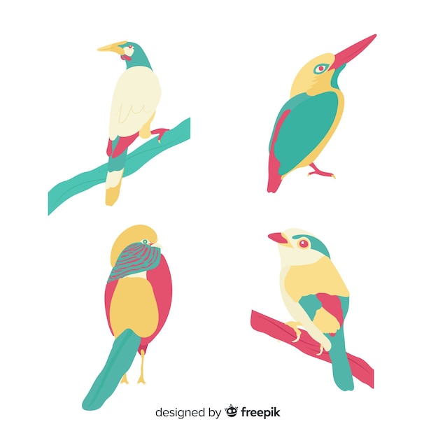 Free vector colorful exotic bird collection flat design