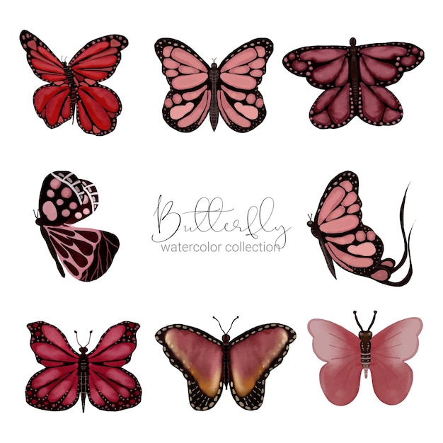 Free Vector | Colorful exotic watercolor butterfly isolated on white  background wild insect in a watercolor style vector cartoon illustration