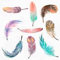 Free vector colorful feather element vector set