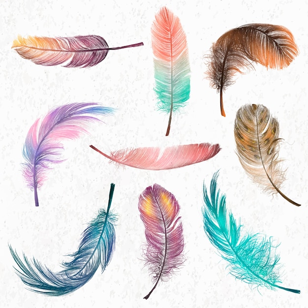 Colorful feather element vector set