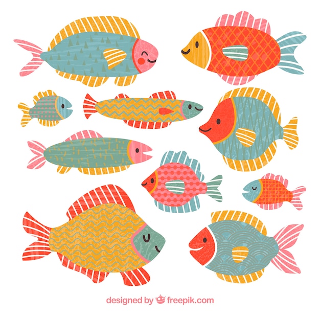 손으로 그린 스타일에 화려한 물고기 컬렉션