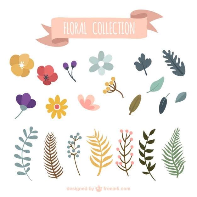 Colorful floral collection