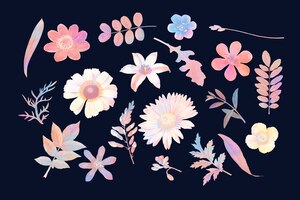 Colorful floral design vector set