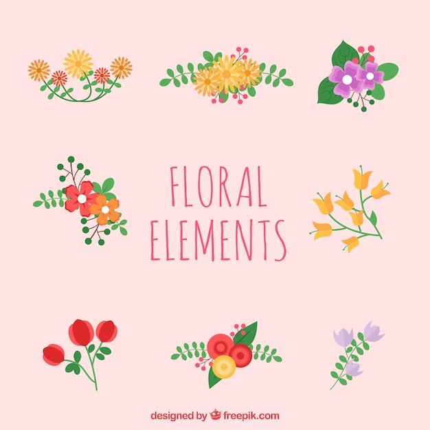 Colorful floral element collection with flat design