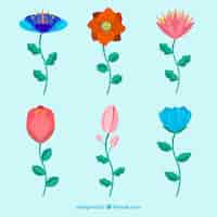 Free vector colorful floral element collection with flat design