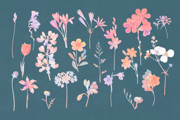 Free vector colorful floral set