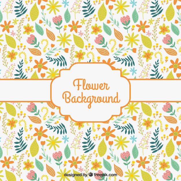 Colorful flower background