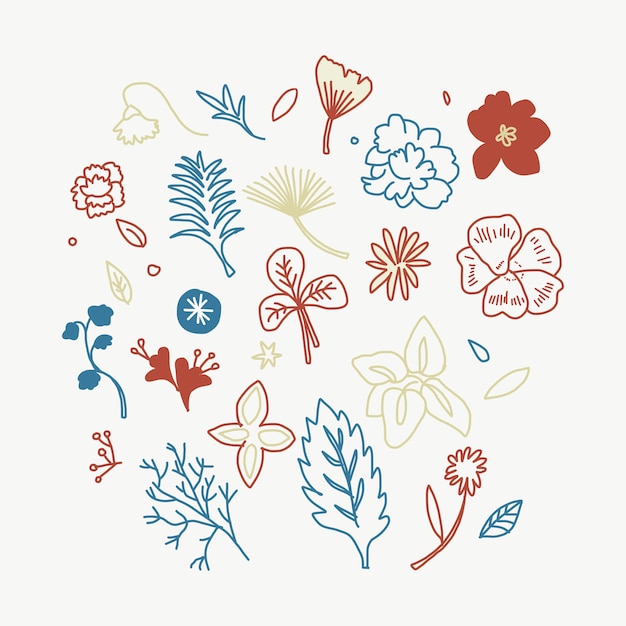 Free vector colorful flower and leaf illustration