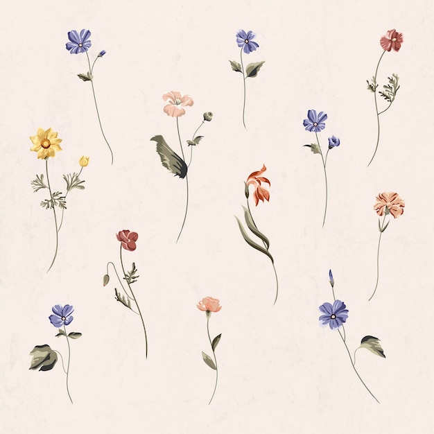 Free Vector colorful flowers on a beige background vector