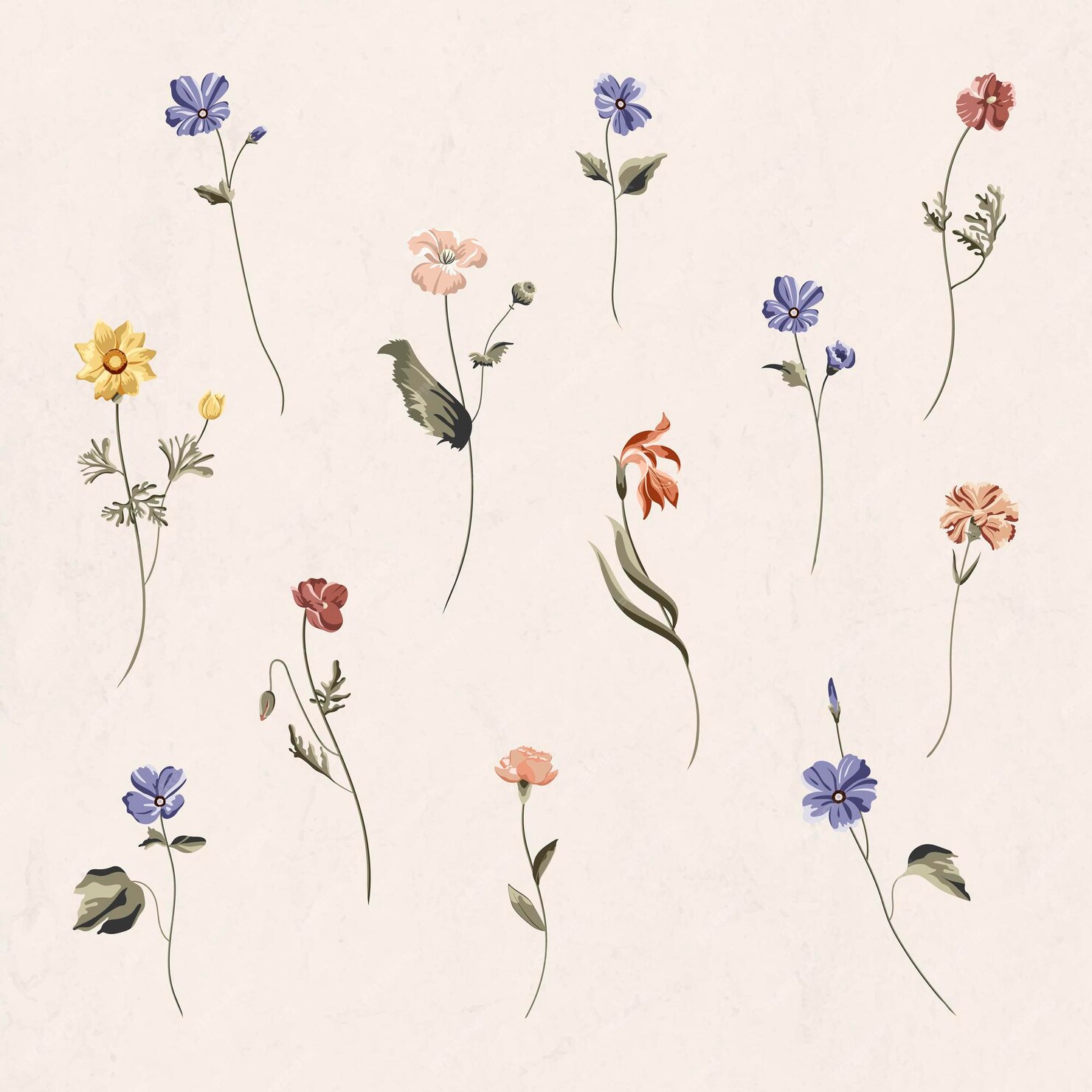 Free Vector | Colorful flowers on a beige background vector