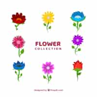 Free vector colorful flowers collection in flat style