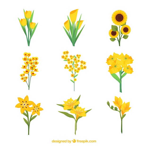 Colorful flowers collection in flat style