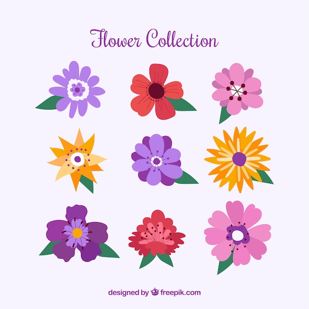 Stile disegnato colorato collezione di fiori in mano