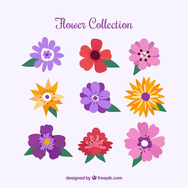 Colorful flowers collection in hand drawn  style