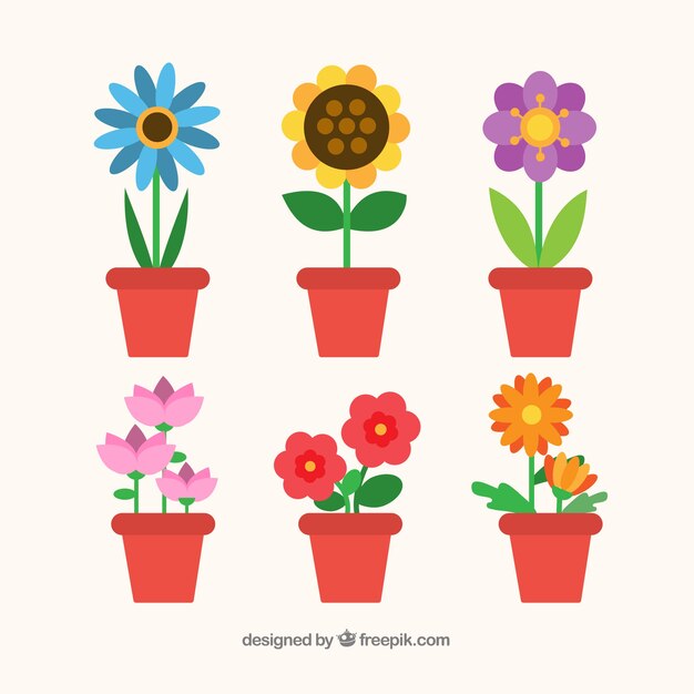 花瓶 画像 無料のベクター ストックフォト Psd