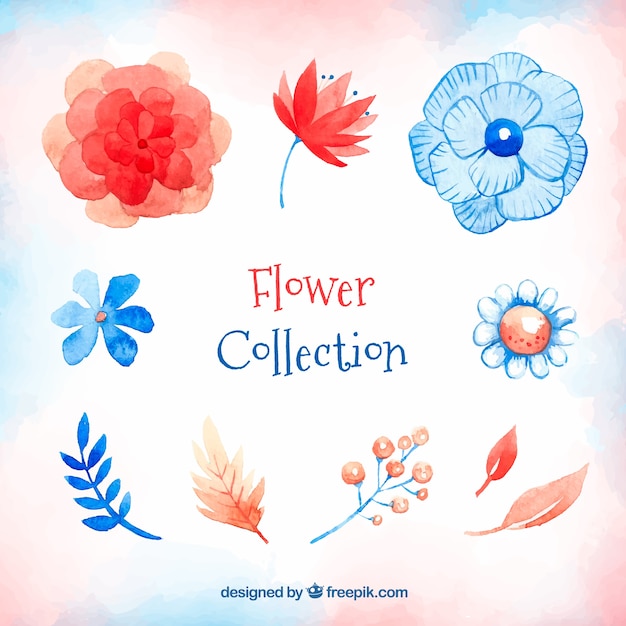 Free vector colorful flowers collection in watercolor style