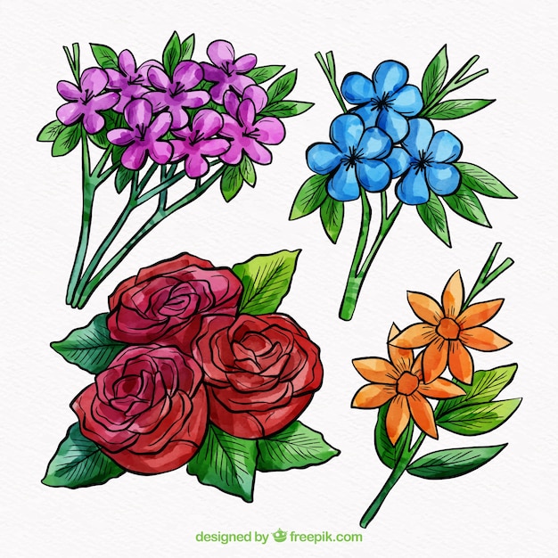 Colorful flowers collection in watercolor style