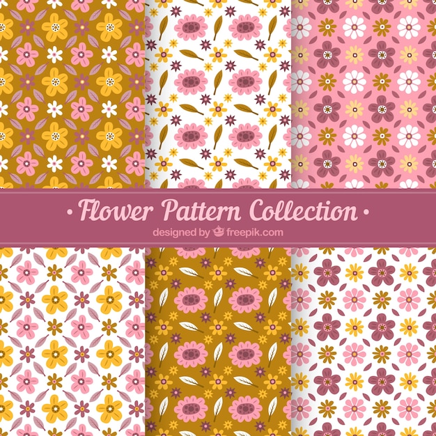 Colorful flowers patterns collection