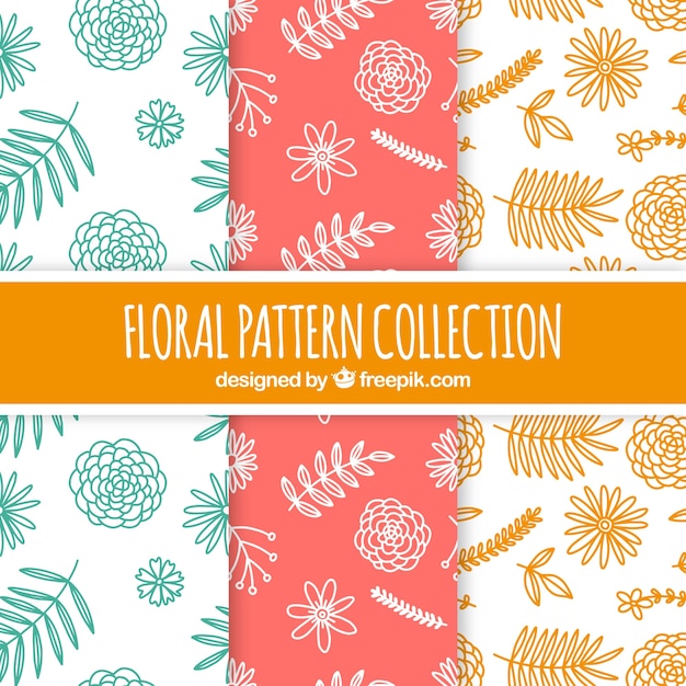 Colorful flowers patterns collection