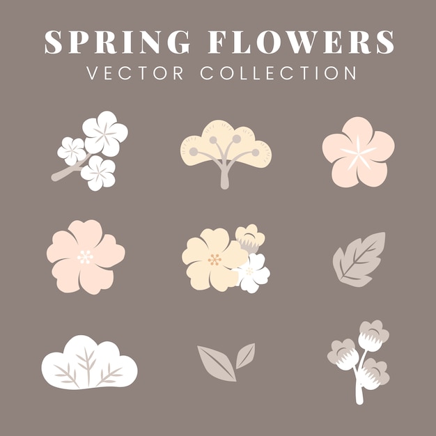 Free Vector colorful flowers set