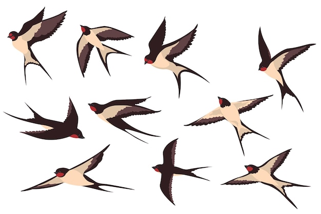 Free vector colorful flying swallows flat illustration set.