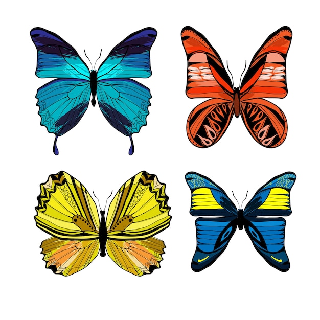 Colorful graphic insects set with different kinds of butterflies on white