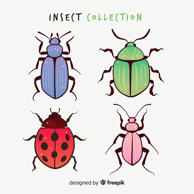 Colorful hand drawn beetles pack