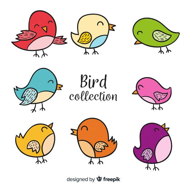 Colorful hand drawn bird collection