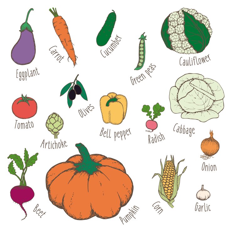Free Vector colorful hand drawn eco food set