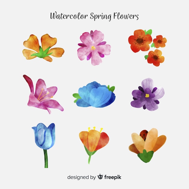 Colorful hand drawn flower set