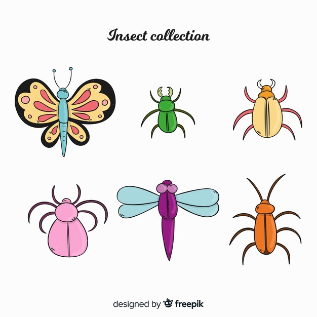 カラフルな手描きの昆虫コレクション