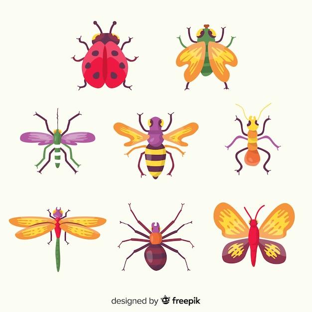 무료 벡터 다채로운 손으로 그린 곤충 컬렉션