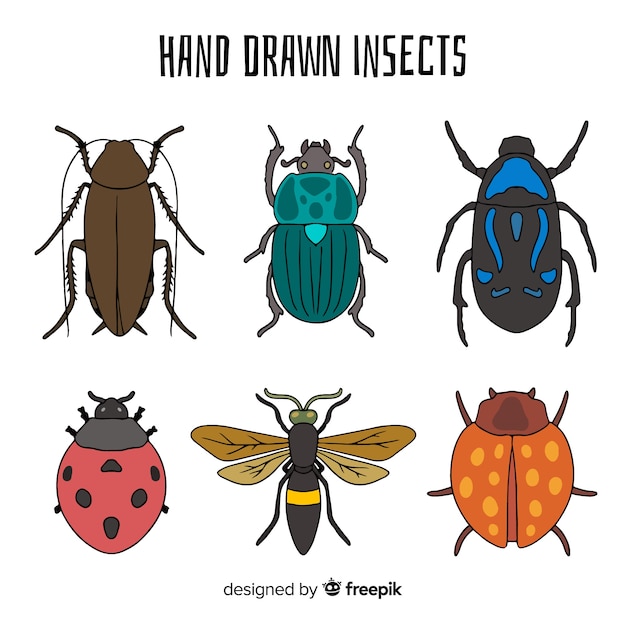 Free vector colorful hand drawn insect collection