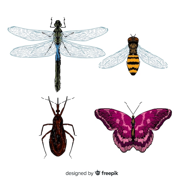 Free vector colorful hand drawn insect collection