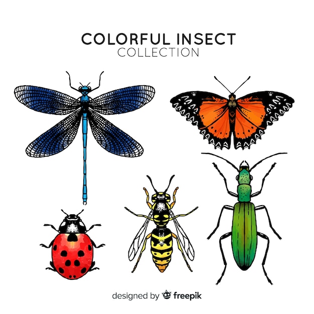 カラフルな手描きの昆虫コレクション