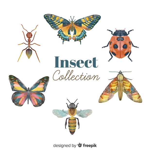 Free vector colorful hand drawn insects pack