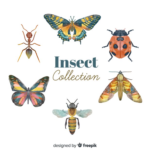 Colorful hand drawn insects pack