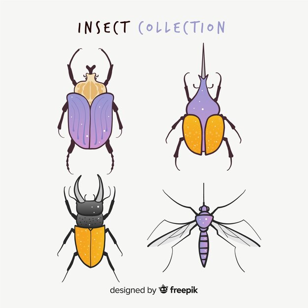 Colorful hand drawn insects pack