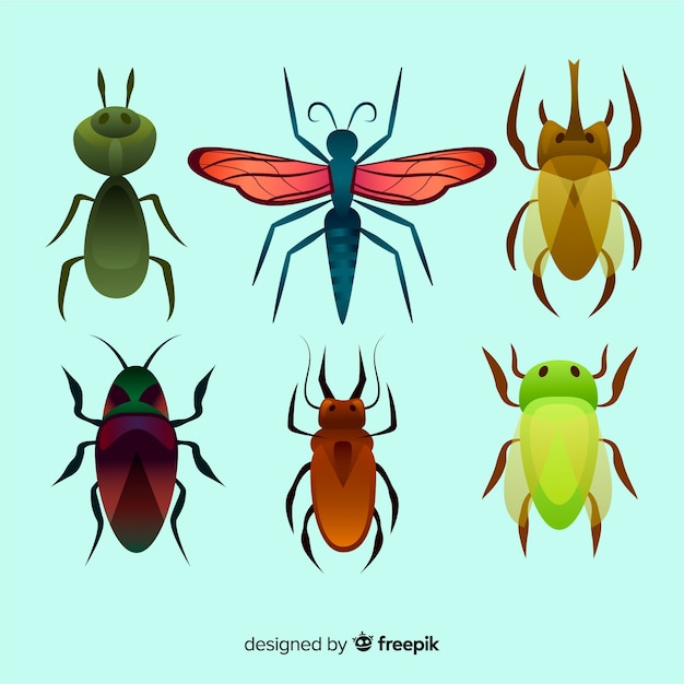 カラフルな手描きの昆虫パック
