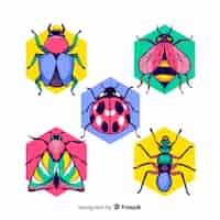 Vettore gratuito confezione di insetti colorati disegnati a mano