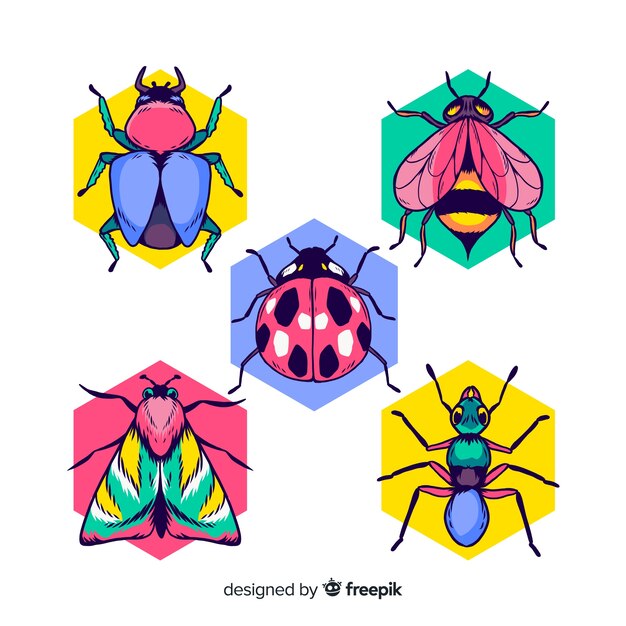 Colorful hand drawn insects pack
