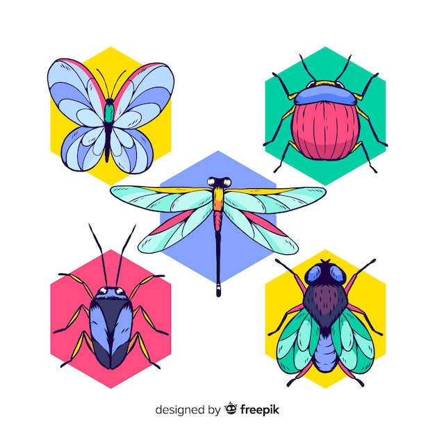 Free vector colorful hand drawn insects pack