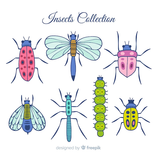 Free vector colorful hand drawn insects pack