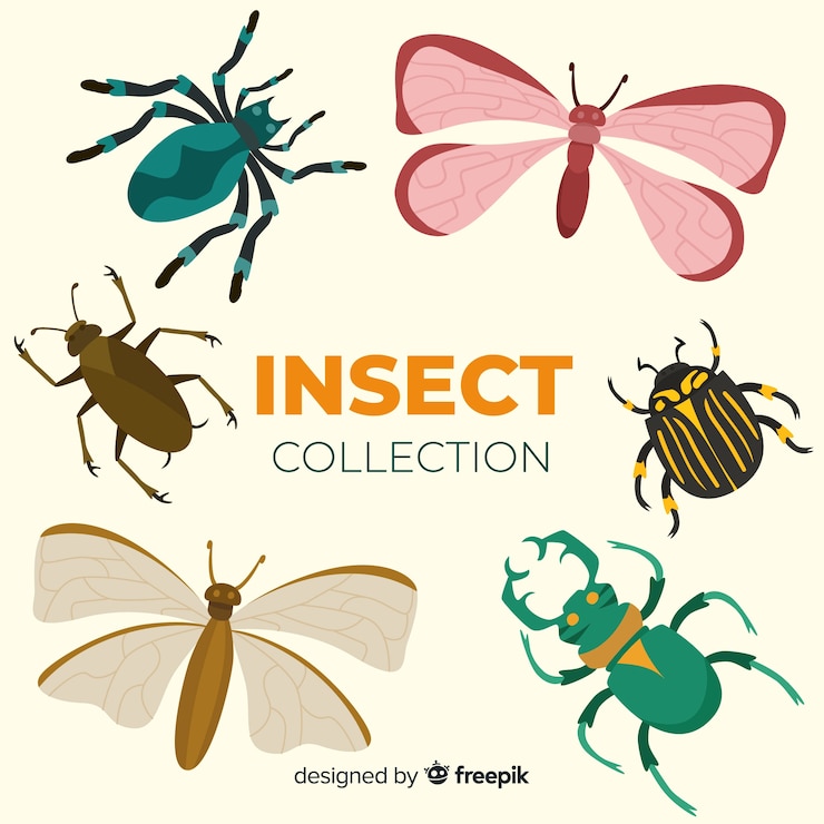Free Vector colorful hand drawn insects pack