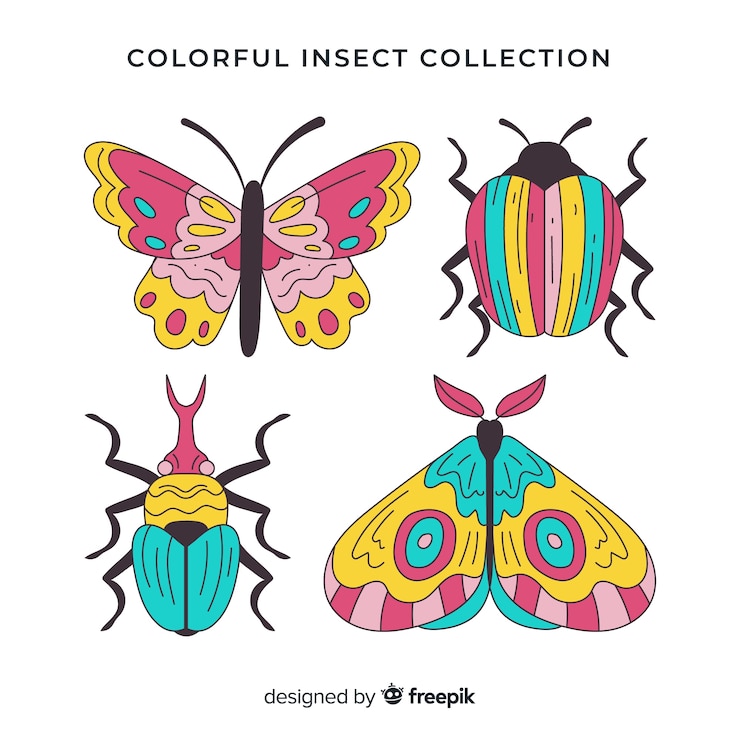 Free Vector colorful hand drawn insects pack