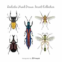 Free vector colorful hand drawn insects pack