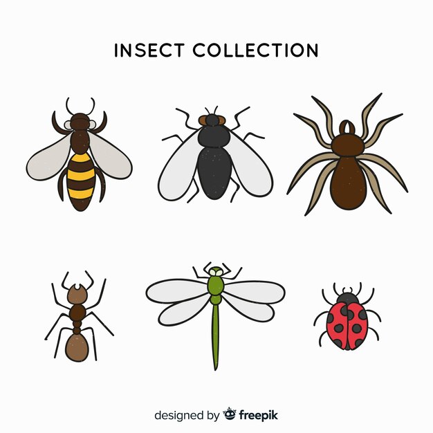 Colorful hand drawn insects pack